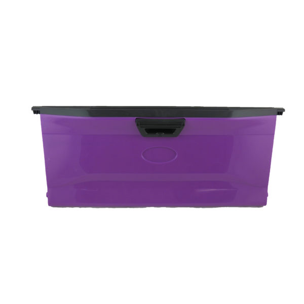 F-150 Tailgate (Purple)